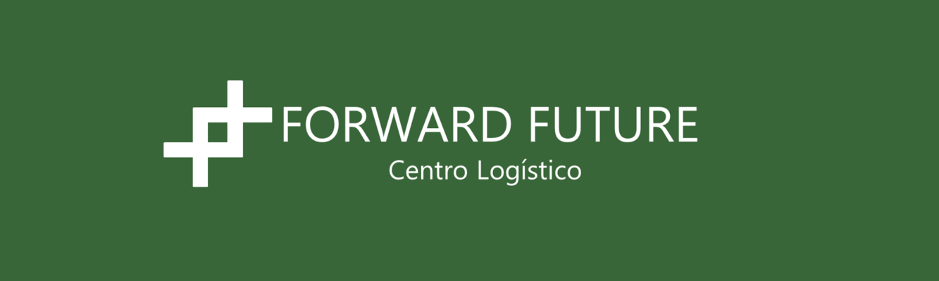 Banner logo FF